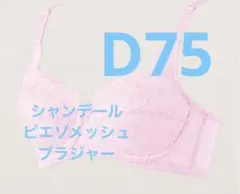 2026年最新】シャンデールピエゾメッシュの人気アイテム - メルカリ