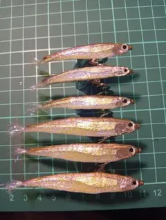 Item thumbnail for item 2afe383e-c233-4cce-aaf8-ed73c0b4cad1