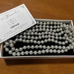 Item thumbnail for item 377b0ad5-da4f-4a6a-8a45-f4f946d16738