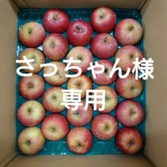 【さっちゃん様専用】