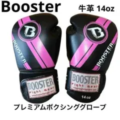 Item thumbnail for item 289ee525-0121-4490-8897-cc47142e2349