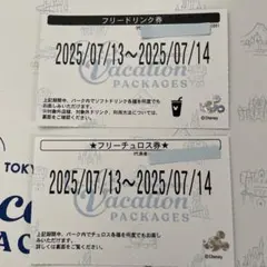 ディズニー　バケパ　フリードリンク券　フリーチュロス券③