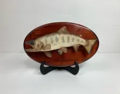 天然ヤマメ 剥製 壁掛け アンティーク 約30cm 天然ヤマメ 剥製 壁掛け アンティーク 約30cm