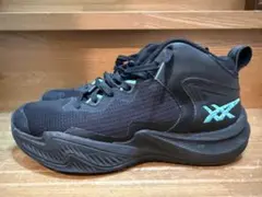 NOVA SURGE GS ASICS アシックス　25cm