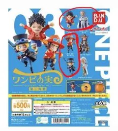 ワンピの実 4個セット