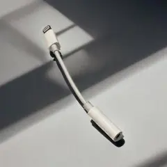 iPhone 変換アダプタ ライトニング 新品未使用R ライトニング [79c]