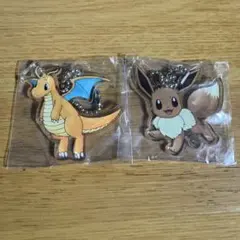 ポケモン　カイリュー　イーブイ　アクキー