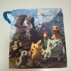 ポケモン 巾着