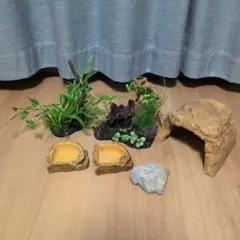 ヤドカリ飼育セット　豪華8点セット ヤドカリ飼育セット 豪華8点セット ヤドカリ飼育セット 豪華8点セット