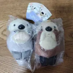 かわいいかわいいぬいぐるみBIGラッコ