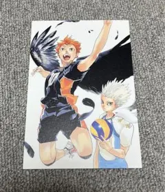 ハイキュー　ポストカード　日向翔陽　星海光来