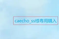 Christian Dior黒いハンドバッグ