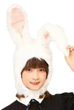 Item thumbnail for item 661012d1-52c2-42ef-87ee-507bc4b2c795