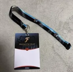 Item thumbnail for item e4510a20-1cf6-4bb9-abac-8e13088a22fa