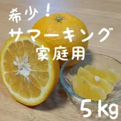 【ひろりん様専用】６愛媛県産 サマーキング みかん 家庭用 ５㎏
