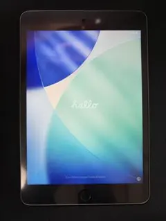 Apple iPad mini 第5世代 A2133 本体　256GB
