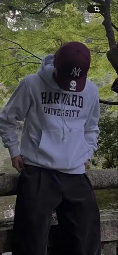 Champion Reverse Weave パーカー