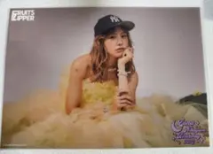 FRUITS ZIPPER 仲川瑠夏 生誕記念すきくじクリアポスター