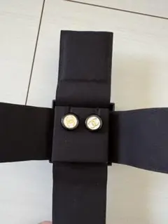 シャネル　ピアス　黒白　CHANEL2024年のサムネイル