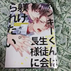 ヤンキーくんは生徒会長様に躾けられたい　あさひ Dom✖️Sub
