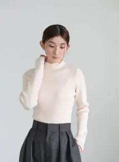 プチハイネックリブニット