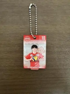 サントリーサンバーズ大阪 髙橋藍選手 ブリスター風アクリルキーホルダー サントリーサンバーズ大阪 ブリスター風アクリルキーホルダー 関田誠大