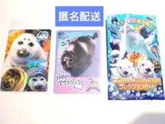 鳥羽水族館 コレクションカード バイカルアザラシ　ニコ レア ノーマル セット