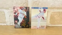 Item thumbnail for item 6c60a551-8519-468b-9b6a-5de818116ed6