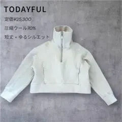 TODAYFUL/トゥデイフル ハーフジップウールプルオーバー圧縮ウールトップスのサムネイル