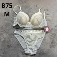 ブラショーツ B75