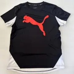 PUMA スポーツシャツ 黒/赤 半袖サイズ160