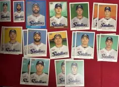 Item thumbnail for item 3ce31b55-002d-4976-b9e8-fe85cef7ba17