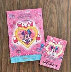 ミニーパルパルーザ　使用済フリーきっぷ　スタンプラリーポストカード　セット