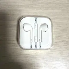 Apple イヤホン 有線 ケース付き新品未開封