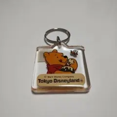 東京ディズニーランド くまのプーさん アクリルキーホルダー