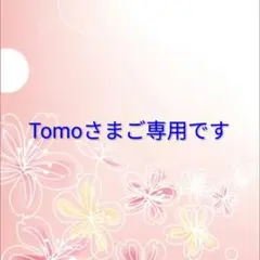 ☆Tomoさまご専用です☆