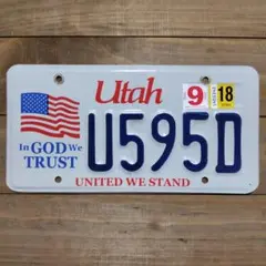 閲覧用商品』アメリカ USA デラウェア州 ライセンスプレート 900226 