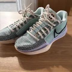 NIKE サブリナ1 【FQ3389-301】