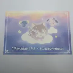 チェシャ猫 夢王国と眠れる100人の王子様 夢100 サンリオ ポストカード