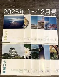 2026年最新】大白蓮華 冊の人気アイテム - メルカリ