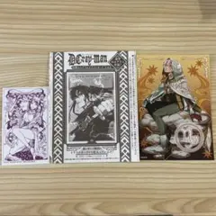 D.Gray-man ジャンプSQ RISE付録ホロカード＋アニメイト特典カード