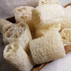 Item thumbnail for item aacfc8d7-3566-43d8-b6bb-bfccc0fc5940