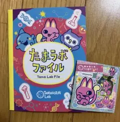たまごっちパラダイス たまパラ みゃおっち ステッカー