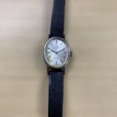 Item thumbnail for item 9bee0d60-a0f7-445f-93f7-152a81288408