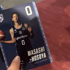 福井ブローウィンズ トレーディングカード 細谷将司