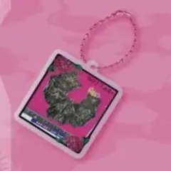 アルティメット十字架ツアー 大森靖子 腸せこ アクリルキーホルダー