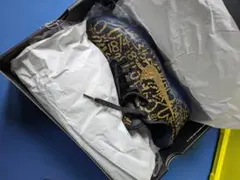 Nike Kobe 11 Protro "Mamba Day"2026