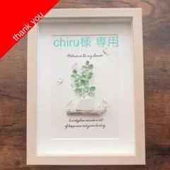 pink【Eucalyptus*happiness】ユーカリ 蝶々 シーグラス