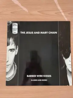JESUS AND MARY CHAIN DARKLANDS LP帯付 - メルカリ