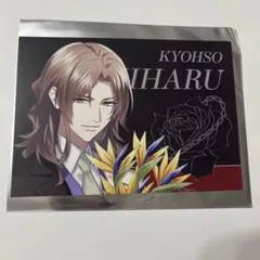 dynamic chord ダイナー クリアカード 夕星 Toi - メルカリ